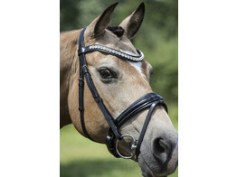 Bridle ARGENTO noseband with patent leather