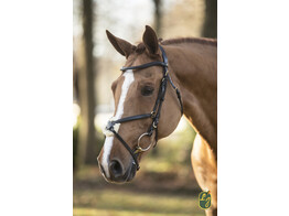 Bridle New Mexican fig. 8 noseband black