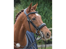 SUPERIOR Weymouth double bridle