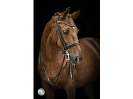 SYANA double bridle round leather