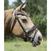 Bridle DORADO noseband with patent leather