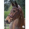 Bridle LEGEND flash noseband