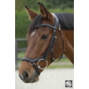 Bridle LEGEND / MYTHOS