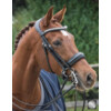 SUPERIOR KRISTAL double bridle