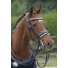 SUPERIOR PATENT Weymouth double bridle - FS black