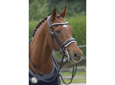 SUPERIOR PATENT Weymouth double bridle - FS black/white
