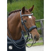 SUPERIOR PATENT Weymouth double bridle - FS black