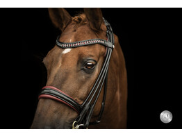 SYANA double bridle round leather