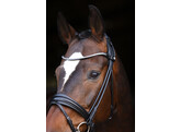 Bridle Limited browband Stellux rolled leather - FS black