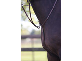Pro Selected running martingale with SS buckles - FS australian nut