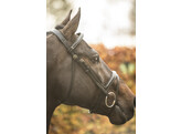 Bridle  New Pro  -  brass buckles