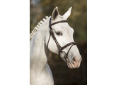 Bridle  New Pro   flash noseband - rubber grip reins - ss buckles - - ss buckles