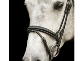 Bridle  New Pro   flash noseband - rubber grip reins - ss buckles