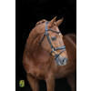 Bridle FRENCHY flash noseband