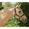 Headcollar leather - padded with nameplate