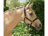 Headcollar leather - padded with nameplate