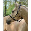 Headcollar leather - padded with nameplate