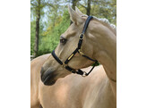 Headcollar leather - padded with nameplate