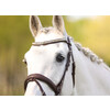 Bridle IRIS flash noseband - PS nut brown