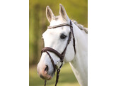 Bridle IRIS flash noseband - PS nut brown