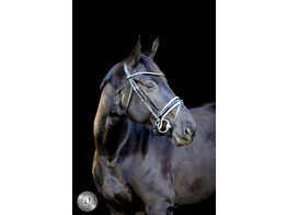 Pro Selected bridle Sunline Silver - pull-back noseband with patent